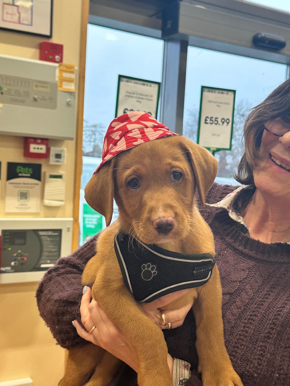 Milo with his hat on